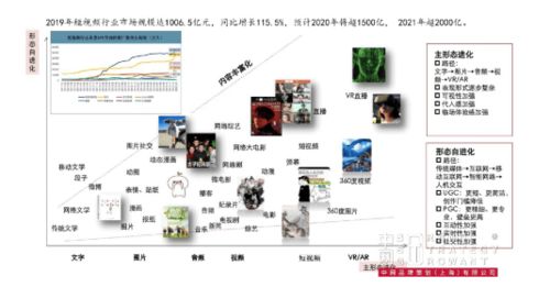 成熟品牌的營銷突破 金光APP與中網品牌策劃的戰略咨詢解析